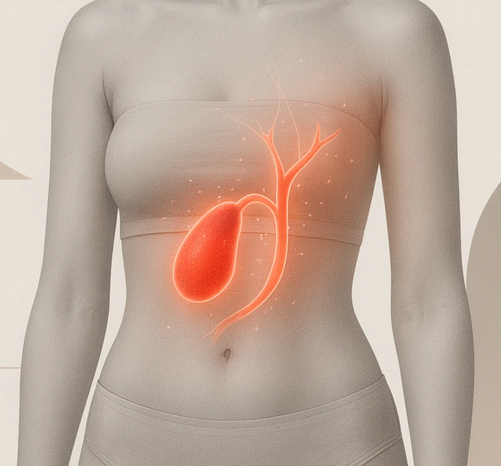 Желчный пузырь