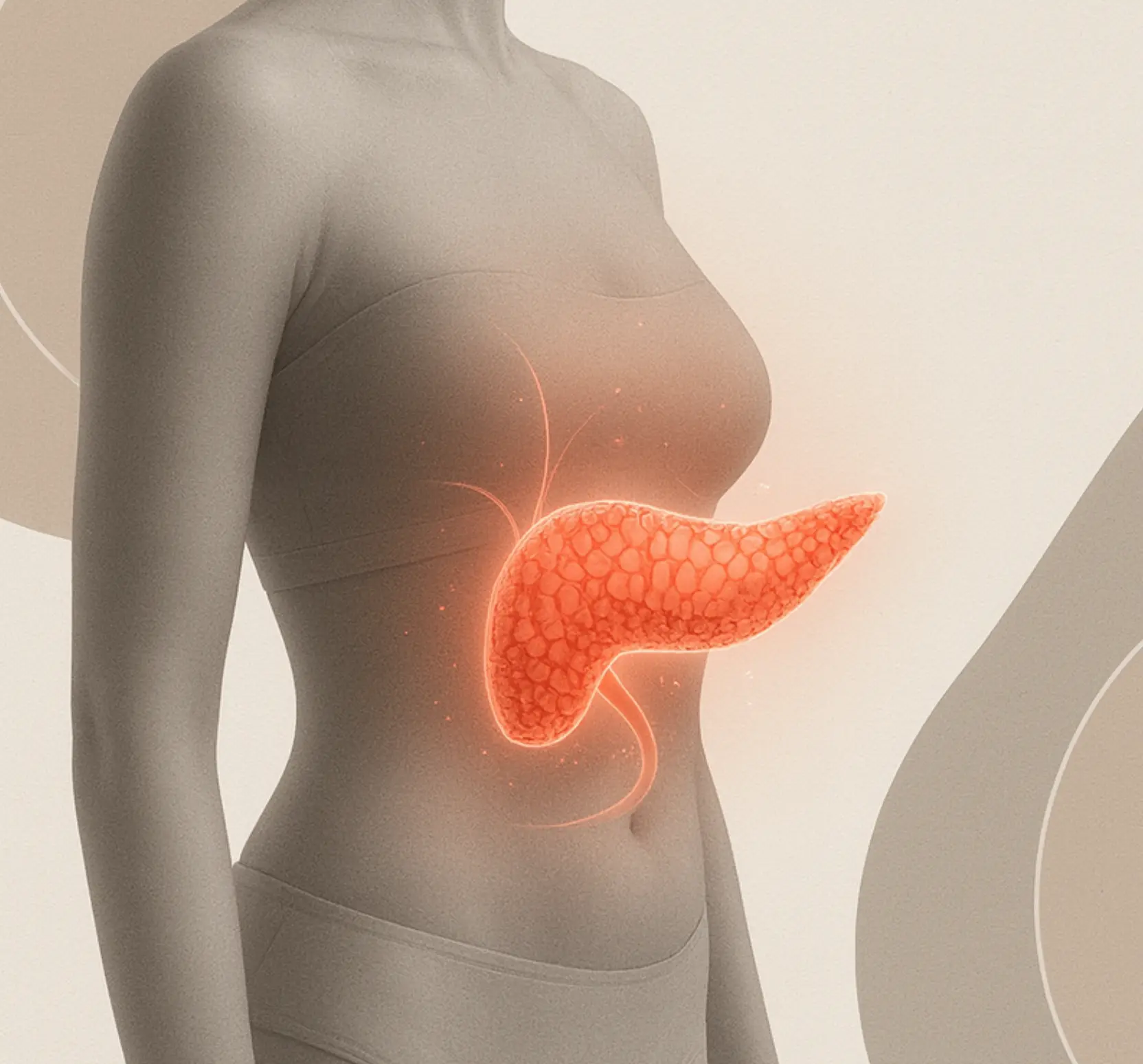 Поджелудочная железа